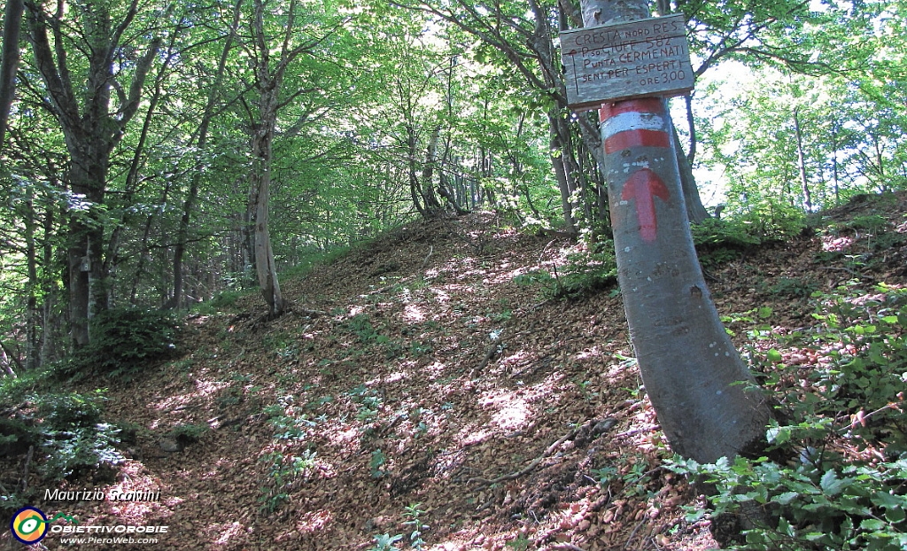 10 Zona Passo del Giuff. Attenzione, tenere la destra..JPG